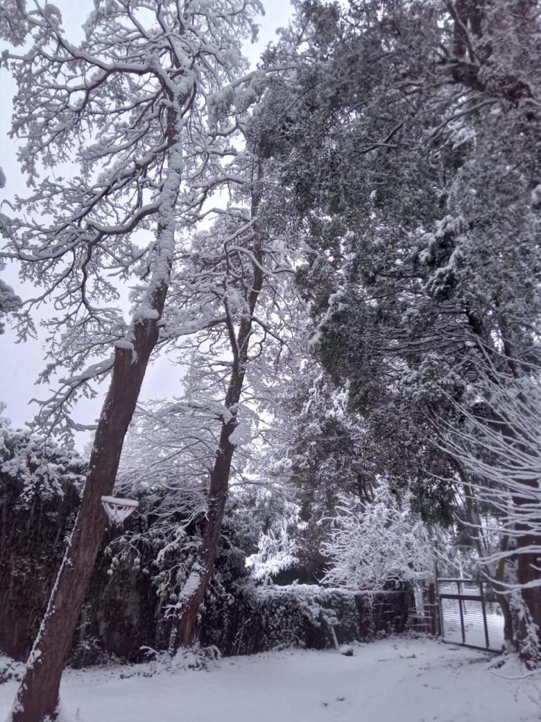 La Casita Del Bosque Chalet *